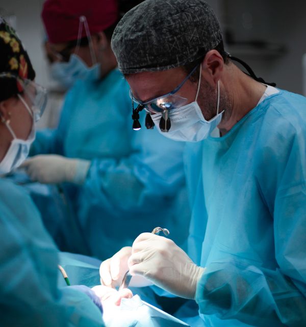 dres penarrocha cirugia e implantologia oral implantes dentales en valencia cirugia periapical en valencia