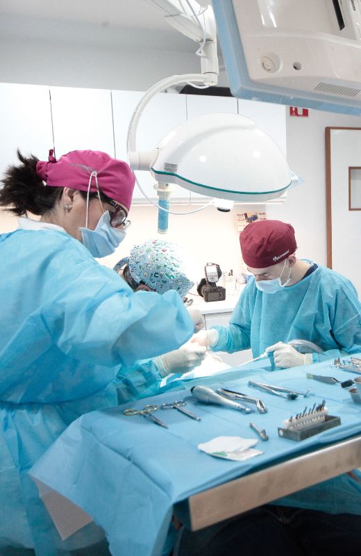 tipos implantes dentales clinica especialista implantes dentales en valencia dres penarrocha cirugia e implantologia oral